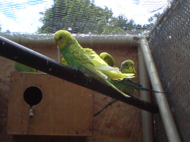 DSC00158.JPG