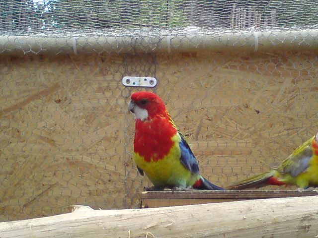 DSC00167.JPG