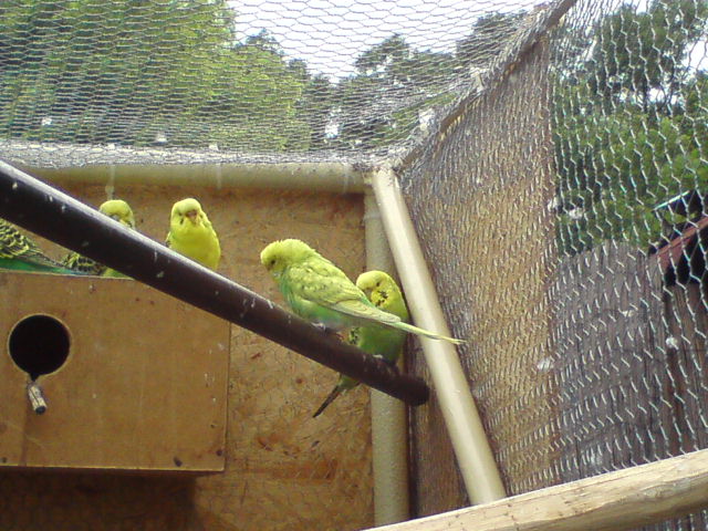DSC00163.JPG