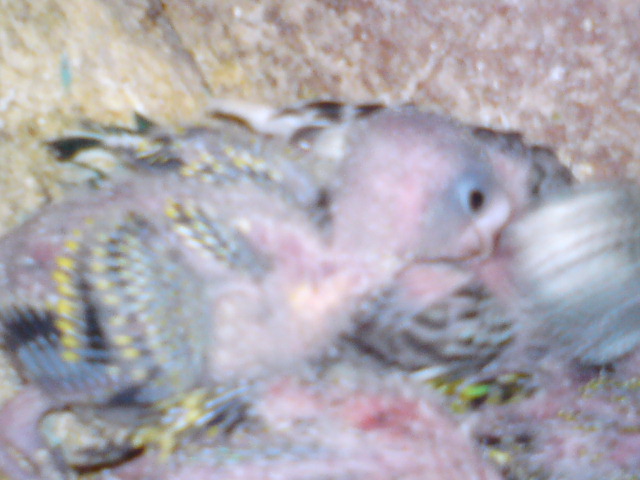 DSC00169.JPG