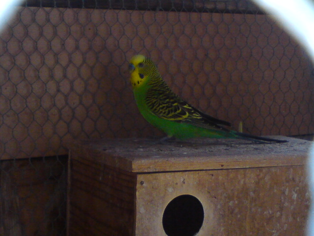 DSC00171.JPG